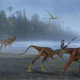 A pack of Allosaurus jimmadseni attacking a young sauropod.
